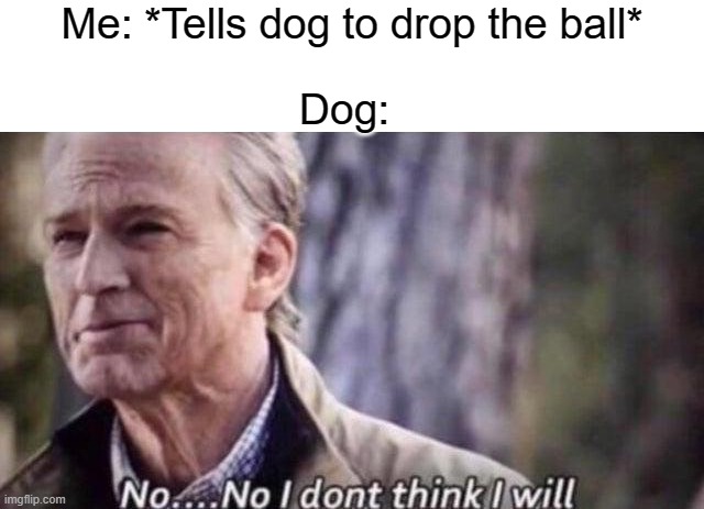 no i don't think i will | Me: *Tells dog to drop the ball*; Dog: | image tagged in no i don't think i will | made w/ Imgflip meme maker