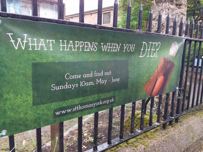 image tagged in what happens when you die,wtf,you had one job | made w/ Imgflip meme maker