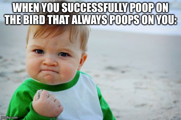 YES | WHEN YOU SUCCESSFULLY POOP ON THE BIRD THAT ALWAYS POOPS ON YOU: | image tagged in memes,success kid original | made w/ Imgflip meme maker