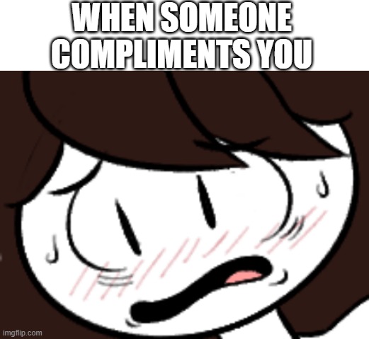 When Someone compliments you | WHEN SOMEONE COMPLIMENTS YOU | image tagged in blank white template,nervous jaiden animation,jaiden animations | made w/ Imgflip meme maker