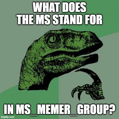 hmm | WHAT DOES THE MS STAND FOR; IN MS_MEMER_GROUP? | image tagged in memes,philosoraptor,hmmm | made w/ Imgflip meme maker