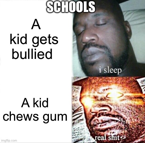True though | A kid gets bullied; SCHOOLS; A kid chews gum | image tagged in memes,sleeping shaq,school | made w/ Imgflip meme maker