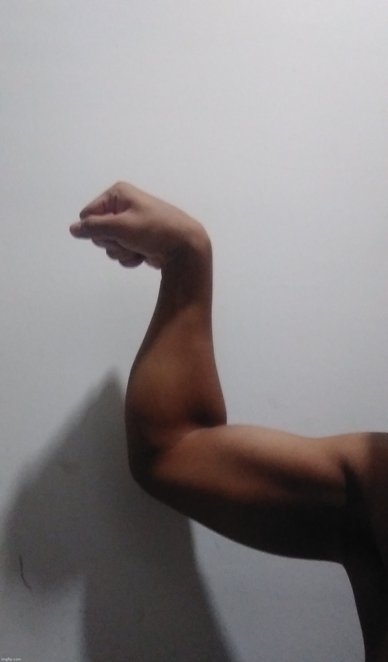 those different types of pushups really does make a change to my arms | made w/ Imgflip meme maker
