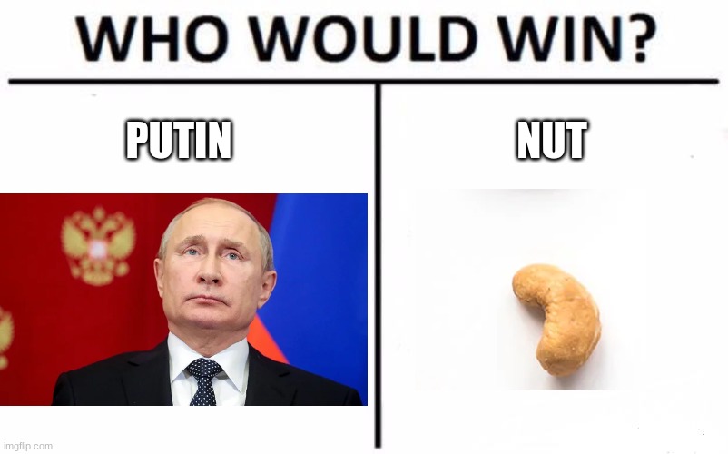 Putin vs Nut | PUTIN; NUT | image tagged in memes,who would win,vladimir putin | made w/ Imgflip meme maker