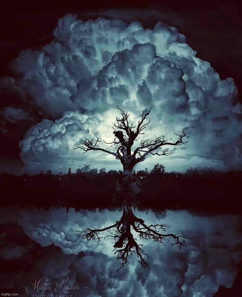 image tagged in awesome | made w/ Imgflip meme maker