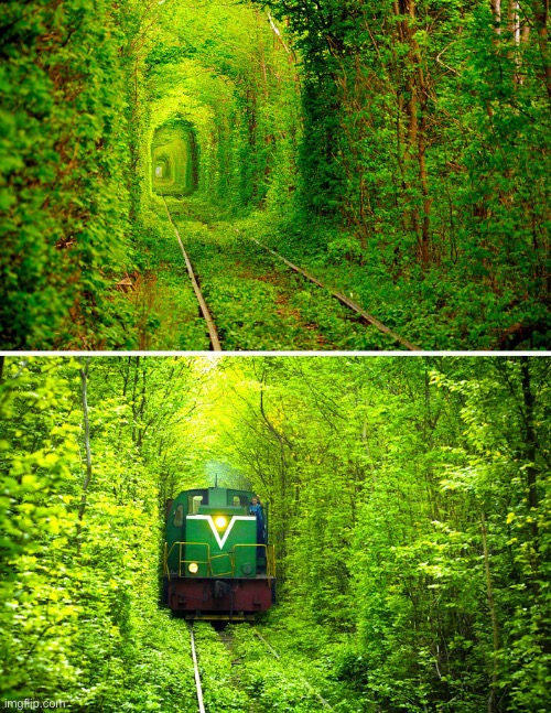 The Love Tunnel, Ukraine | image tagged in cool picture,cool places,ukraine,the love tunnel,enjoy | made w/ Imgflip meme maker