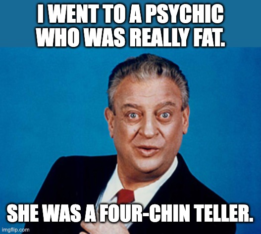 Rodney | I WENT TO A PSYCHIC WHO WAS REALLY FAT. SHE WAS A FOUR-CHIN TELLER. | image tagged in rodney | made w/ Imgflip meme maker