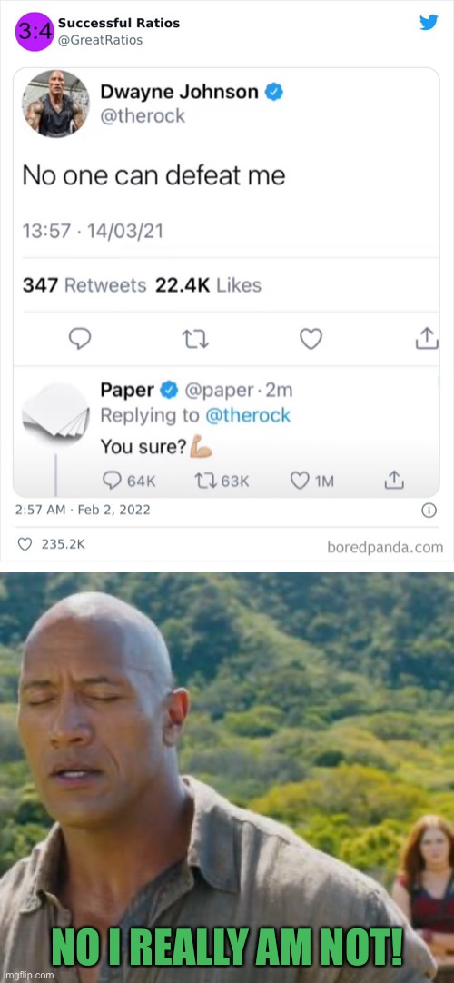 Dwayne Johnson better run | NO I REALLY AM NOT! | image tagged in paper,dwayne johnson,i am not sure,funny,memes,tweets | made w/ Imgflip meme maker