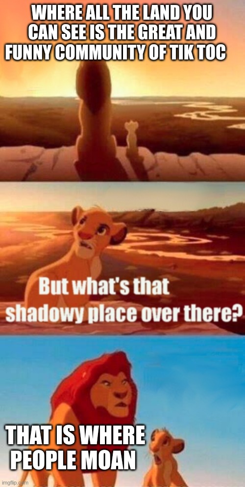 uhhhhhhhh | WHERE ALL THE LAND YOU CAN SEE IS THE GREAT AND FUNNY COMMUNITY OF TIK TOC; THAT IS WHERE PEOPLE MOAN | image tagged in memes,simba shadowy place,tiktok sucks | made w/ Imgflip meme maker