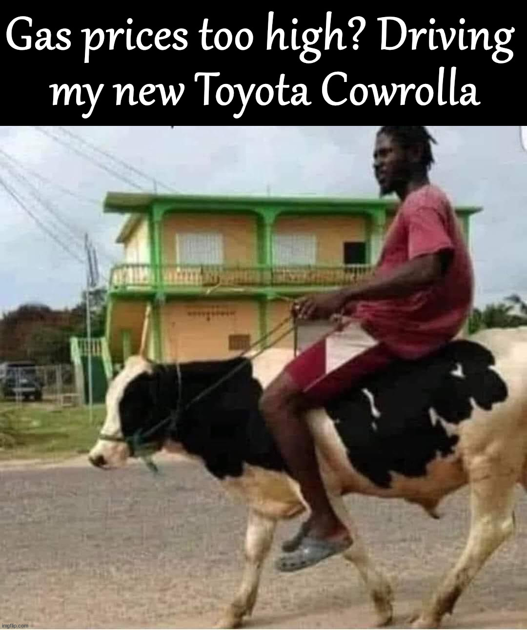 Gas prices too high? Driving 
my new Toyota Cowrolla | image tagged in eye roll | made w/ Imgflip meme maker