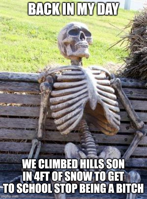 Waiting Skeleton Meme | BACK IN MY DAY; WE CLIMBED HILLS SON IN 4FT OF SNOW TO GET TO SCHOOL STOP BEING A BITCH | image tagged in memes,waiting skeleton | made w/ Imgflip meme maker