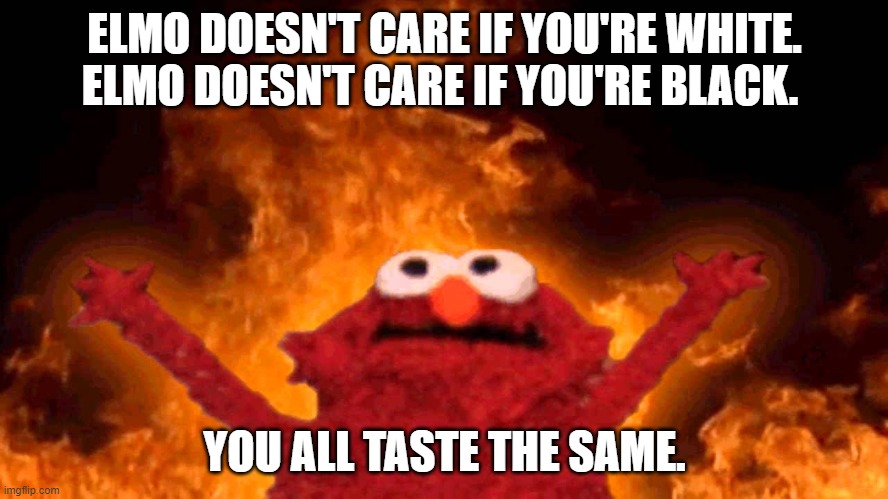he must be stopped | ELMO DOESN'T CARE IF YOU'RE WHITE. ELMO DOESN'T CARE IF YOU'RE BLACK. YOU ALL TASTE THE SAME. | image tagged in elmo fire | made w/ Imgflip meme maker