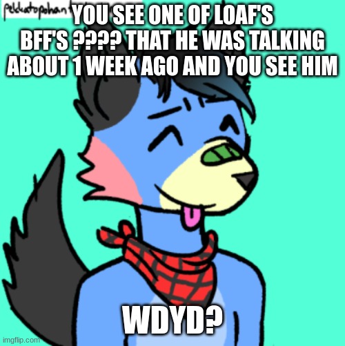 Nava | YOU SEE ONE OF LOAF'S BFF'S ???? THAT HE WAS TALKING ABOUT 1 WEEK AGO AND YOU SEE HIM; WDYD? | image tagged in nava | made w/ Imgflip meme maker