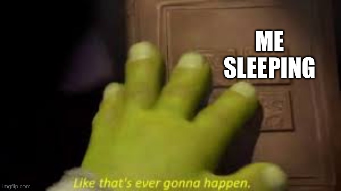 Shrek book closing mene | ME SLEEPING | image tagged in shrek book closing mene | made w/ Imgflip meme maker