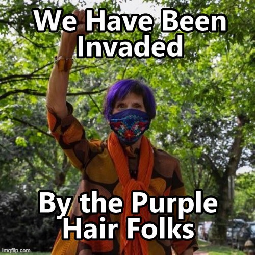 Color me Purple !! | image tagged in congress,invaders,demorats | made w/ Imgflip meme maker