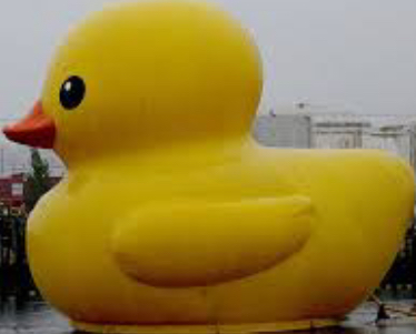High Quality When the duck is bigger than the tub Blank Meme Template