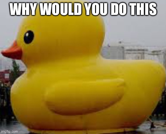 the GODS helper | WHY WOULD YOU DO THIS | image tagged in when the duck is bigger than the tub | made w/ Imgflip meme maker