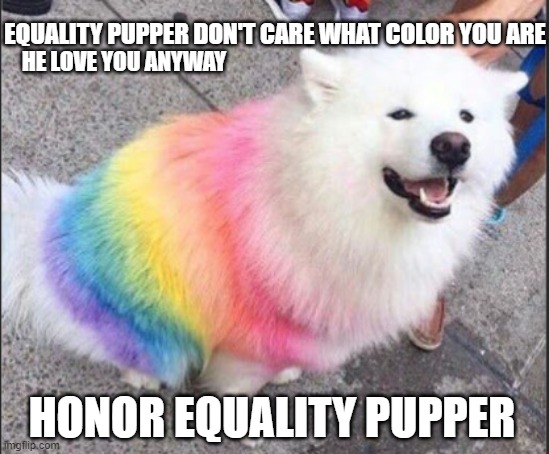 Equality pupper | EQUALITY PUPPER DON'T CARE WHAT COLOR YOU ARE; HE LOVE YOU ANYWAY; HONOR EQUALITY PUPPER | image tagged in equality | made w/ Imgflip meme maker
