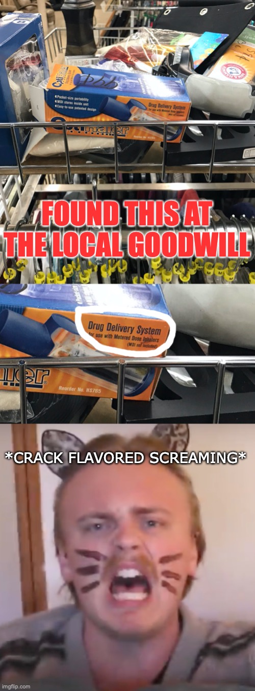 Parmesan Cheese boi | FOUND THIS AT THE LOCAL GOODWILL; *CRACK FLAVORED SCREAMING* | image tagged in guss johnson scream,drugs | made w/ Imgflip meme maker
