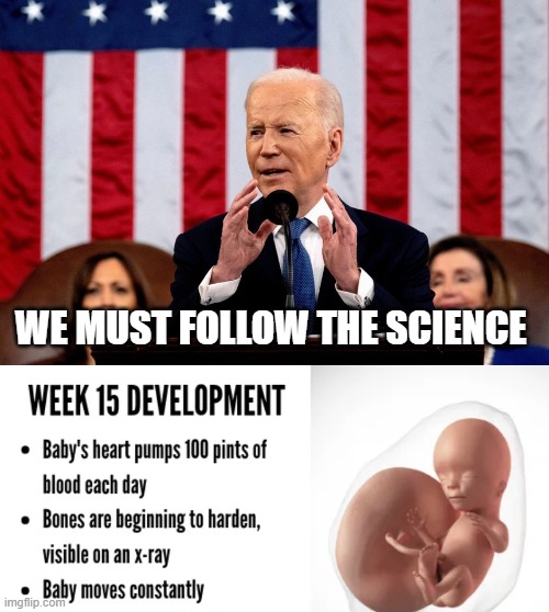 We Must Follow The Science | WE MUST FOLLOW THE SCIENCE | image tagged in joe biden,abortion,science | made w/ Imgflip meme maker
