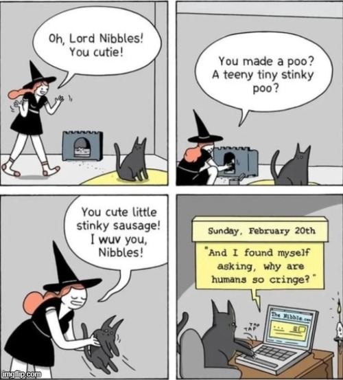 image tagged in comics | made w/ Imgflip meme maker