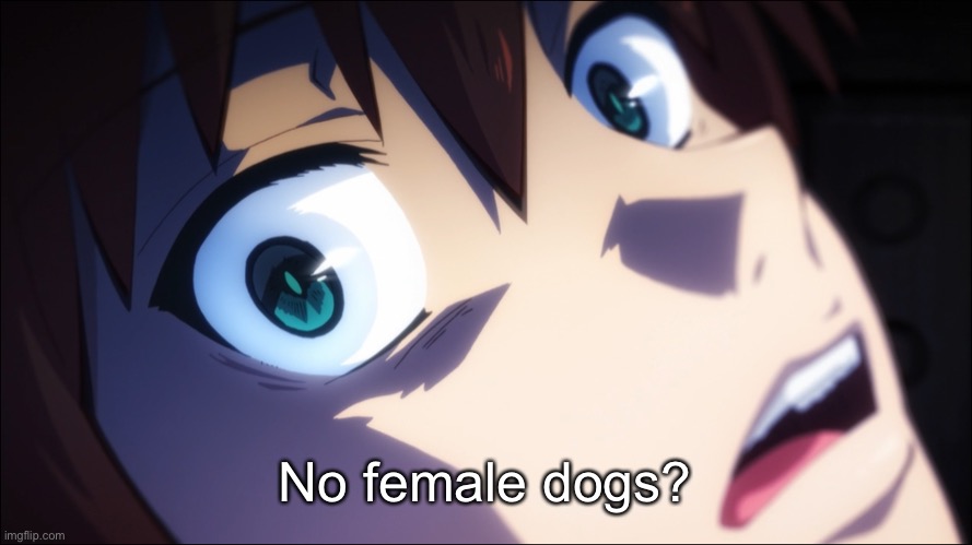 Kazuma stare | No female dogs? | image tagged in kazuma stare | made w/ Imgflip meme maker