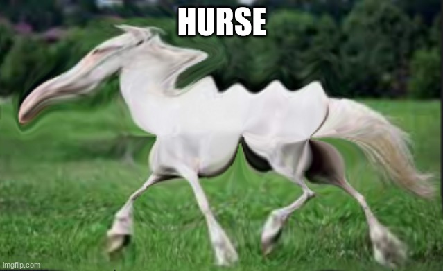 hurse | HURSE | image tagged in dumb | made w/ Imgflip meme maker