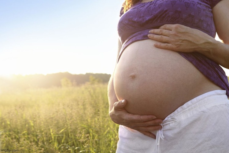 Pregnant Woman | image tagged in pregnant woman | made w/ Imgflip meme maker
