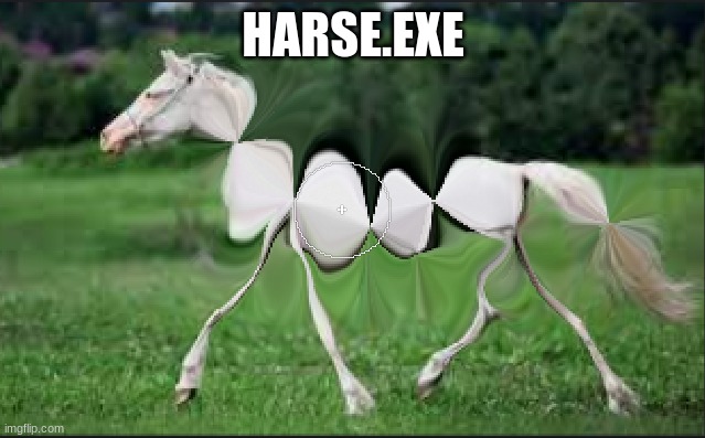 harse.exe | HARSE.EXE | image tagged in dumb | made w/ Imgflip meme maker