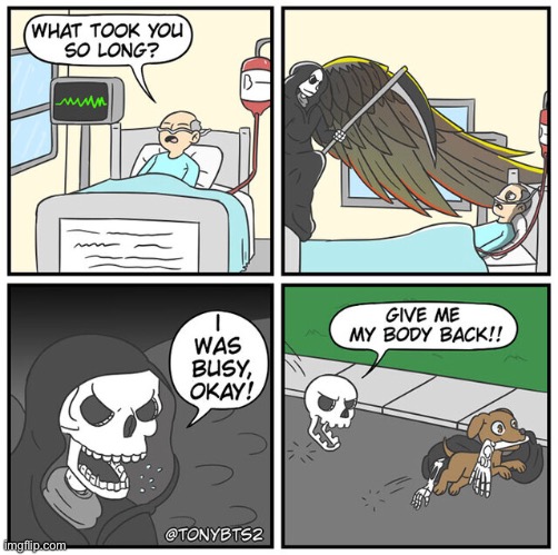 even grim reapers can be harmed by dogs | image tagged in dogs,animals,funny,dark humor,comics/cartoons | made w/ Imgflip meme maker