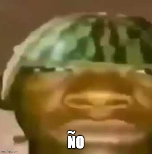 shitpost | ~ NO | image tagged in shitpost | made w/ Imgflip meme maker