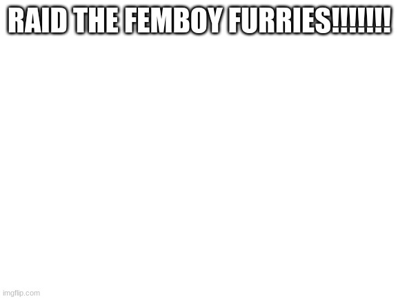 Blank White Template | RAID THE FEMBOY FURRIES!!!!!!! | image tagged in blank white template | made w/ Imgflip meme maker