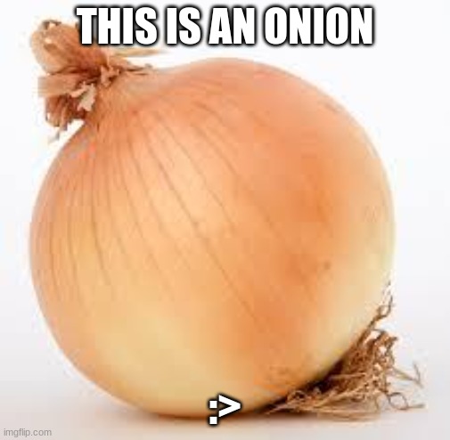 Onion | THIS IS AN ONION; :> | image tagged in onion | made w/ Imgflip meme maker