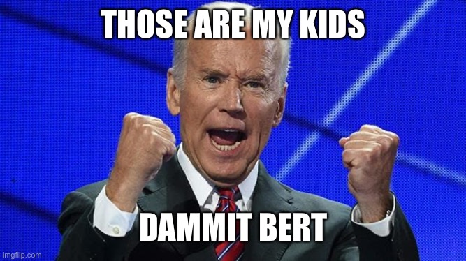 Joe Biden fists angry | THOSE ARE MY KIDS DAMMIT BERT | image tagged in joe biden fists angry | made w/ Imgflip meme maker