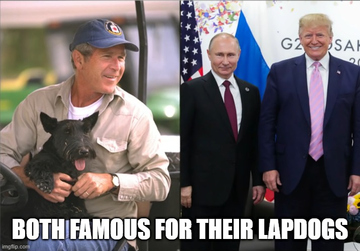 Both famous for their lapdogs | BOTH FAMOUS FOR THEIR LAPDOGS | image tagged in putin,trump | made w/ Imgflip meme maker