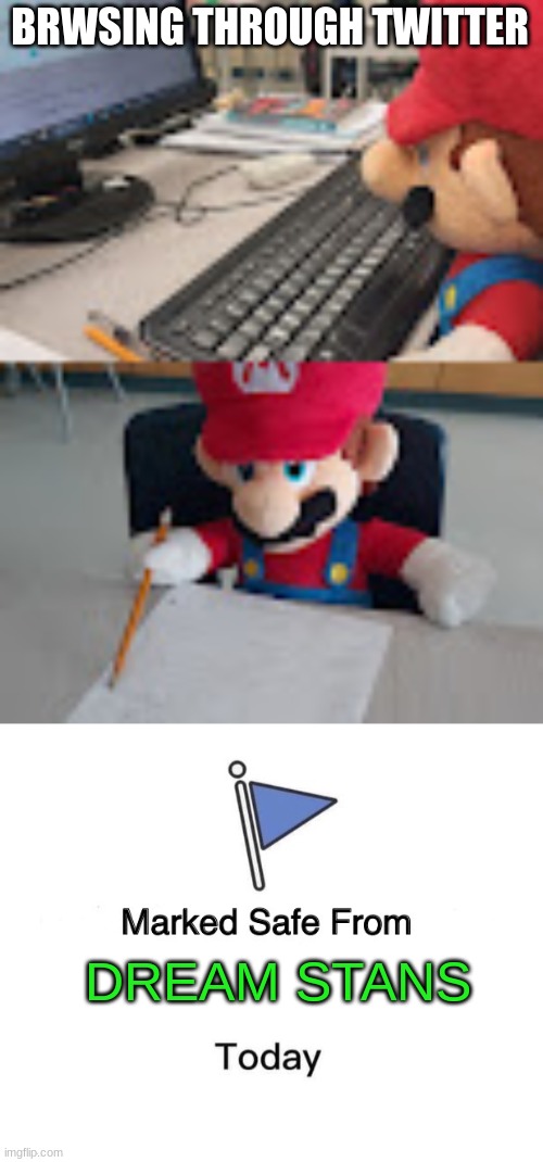 BRWSING THROUGH TWITTER; DREAM STANS | image tagged in mario on computer,mario writing facts,memes,marked safe from | made w/ Imgflip meme maker