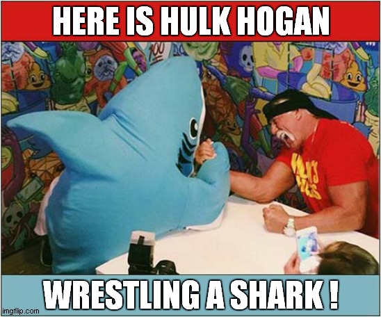 To Make You Smile | HERE IS HULK HOGAN; WRESTLING A SHARK ! | image tagged in fun,hulk hogan,wrestling,shark | made w/ Imgflip meme maker