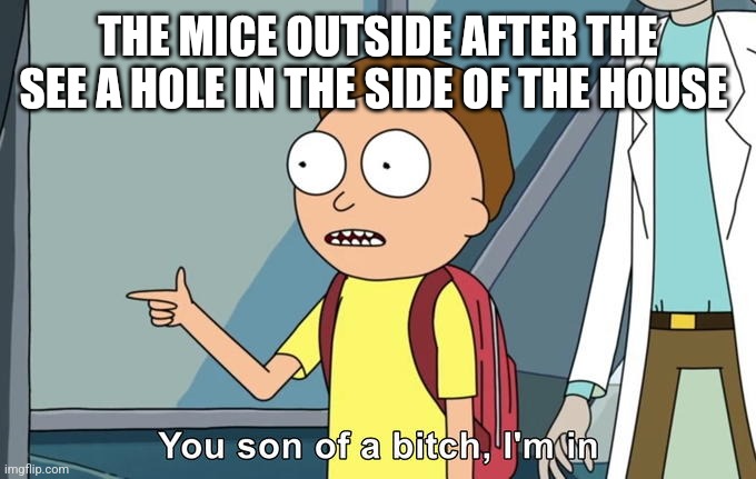 Ye | THE MICE OUTSIDE AFTER THE SEE A HOLE IN THE SIDE OF THE HOUSE | image tagged in morty i'm in | made w/ Imgflip meme maker