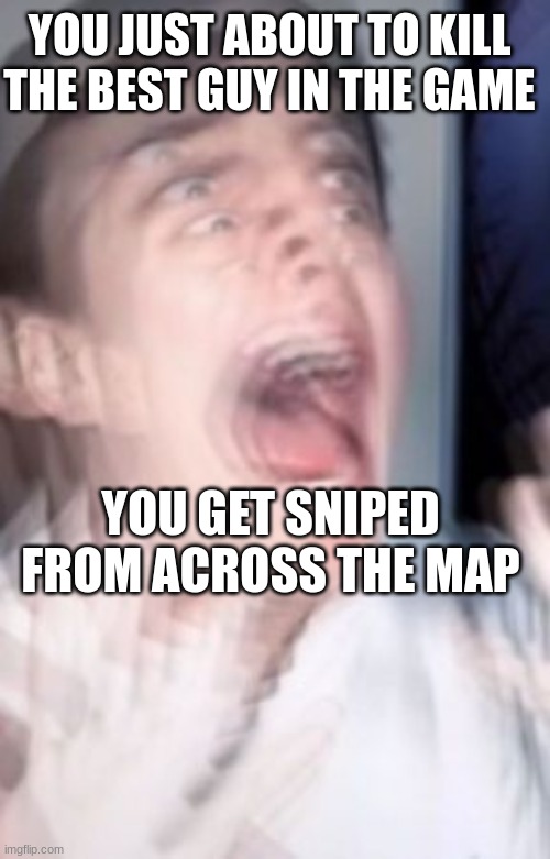 first meme in the stream | YOU JUST ABOUT TO KILL THE BEST GUY IN THE GAME; YOU GET SNIPED FROM ACROSS THE MAP | image tagged in freaking out | made w/ Imgflip meme maker