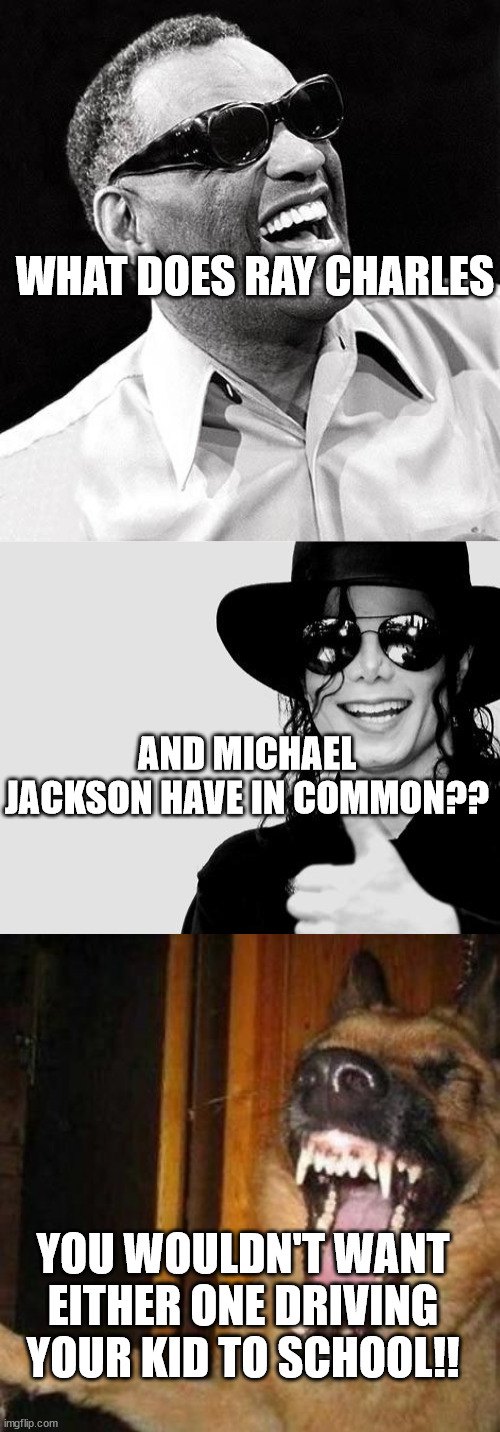 Bad Wolf says..... | WHAT DOES RAY CHARLES; AND MICHAEL JACKSON HAVE IN COMMON?? YOU WOULDN'T WANT EITHER ONE DRIVING YOUR KID TO SCHOOL!! | image tagged in ray charles,michael jackson - okay yes sign,laughing dog | made w/ Imgflip meme maker