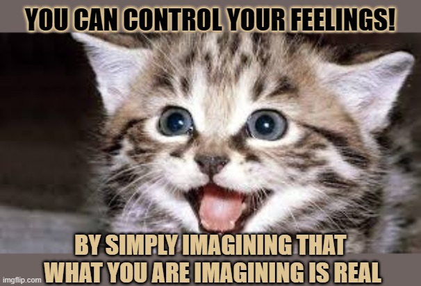 The #lolcat wonders if you can control your feelings | YOU CAN CONTROL YOUR FEELINGS! BY SIMPLY IMAGINING THAT 
WHAT YOU ARE IMAGINING IS REAL | image tagged in lolcat,think about it,feelings | made w/ Imgflip meme maker