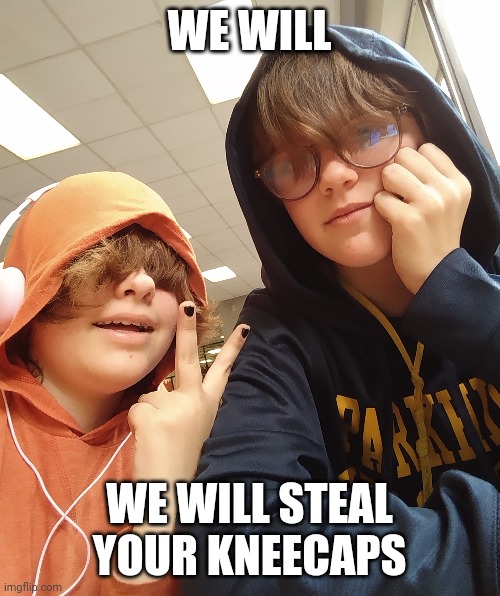 WE WILL; WE WILL STEAL YOUR KNEECAPS | made w/ Imgflip meme maker