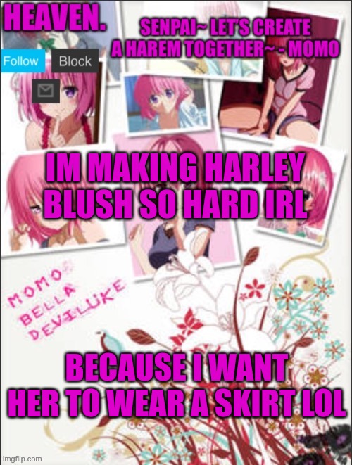 harleys mine | IM MAKING HARLEY BLUSH SO HARD IRL; BECAUSE I WANT HER TO WEAR A SKIRT LOL | image tagged in heaven temp | made w/ Imgflip meme maker