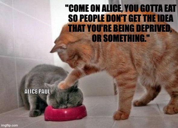 Alice Paul, Suffra-cat | "COME ON ALICE, YOU GOTTA EAT
 SO PEOPLE DON'T GET THE IDEA 
THAT YOU'RE BEING DEPRIVED, 
OR SOMETHING."; ALICE PAUL | image tagged in force feed cat | made w/ Imgflip meme maker