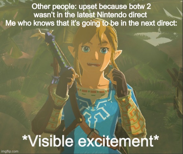 Visible excitement | Other people: upset because botw 2 wasn’t in the latest Nintendo direct 
Me who knows that it’s going to be in the next direct: | image tagged in visible excitement | made w/ Imgflip meme maker