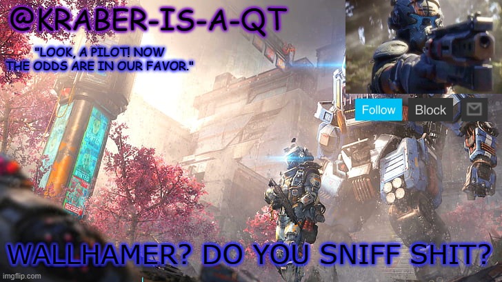 Kraber-is-a-qt | WALLHAMER? DO YOU SNIFF SHIT? | image tagged in kraber-is-a-qt | made w/ Imgflip meme maker