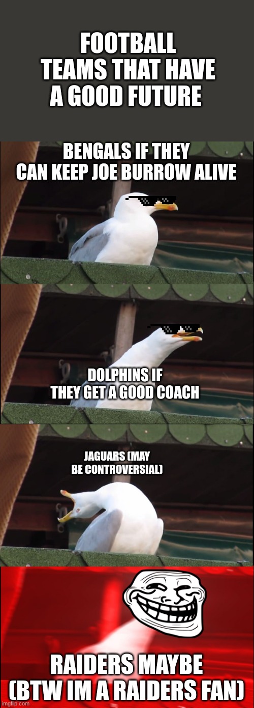 Inhaling Seagull Meme | FOOTBALL TEAMS THAT HAVE A GOOD FUTURE; BENGALS IF THEY CAN KEEP JOE BURROW ALIVE; DOLPHINS IF THEY GET A GOOD COACH; JAGUARS (MAY BE CONTROVERSIAL); RAIDERS MAYBE (BTW IM A RAIDERS FAN) | image tagged in memes,inhaling seagull | made w/ Imgflip meme maker