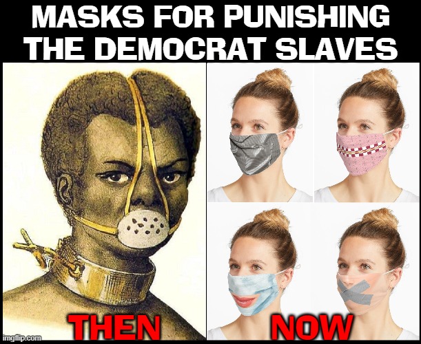 I coulda freed alot more if they'd known they actually were slaves. —Harriet Tubman |  MASKS FOR PUNISHING
THE DEMOCRAT SLAVES; THEN           NOW | image tagged in vince vance,masks,memes,democrat party,slaves,plantation | made w/ Imgflip meme maker