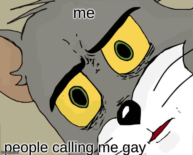 Unsettled Tom Meme | me; people calling me gay | image tagged in memes,unsettled tom | made w/ Imgflip meme maker