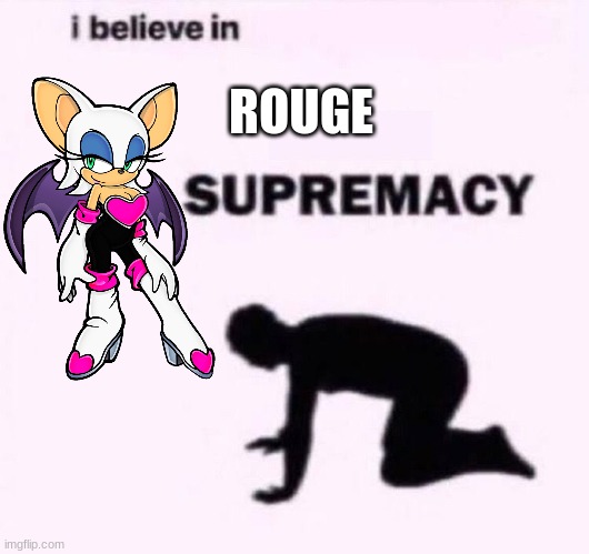 amy rose can go screw herself | ROUGE | image tagged in i belive in supermacy,sonic the hedgehog | made w/ Imgflip meme maker